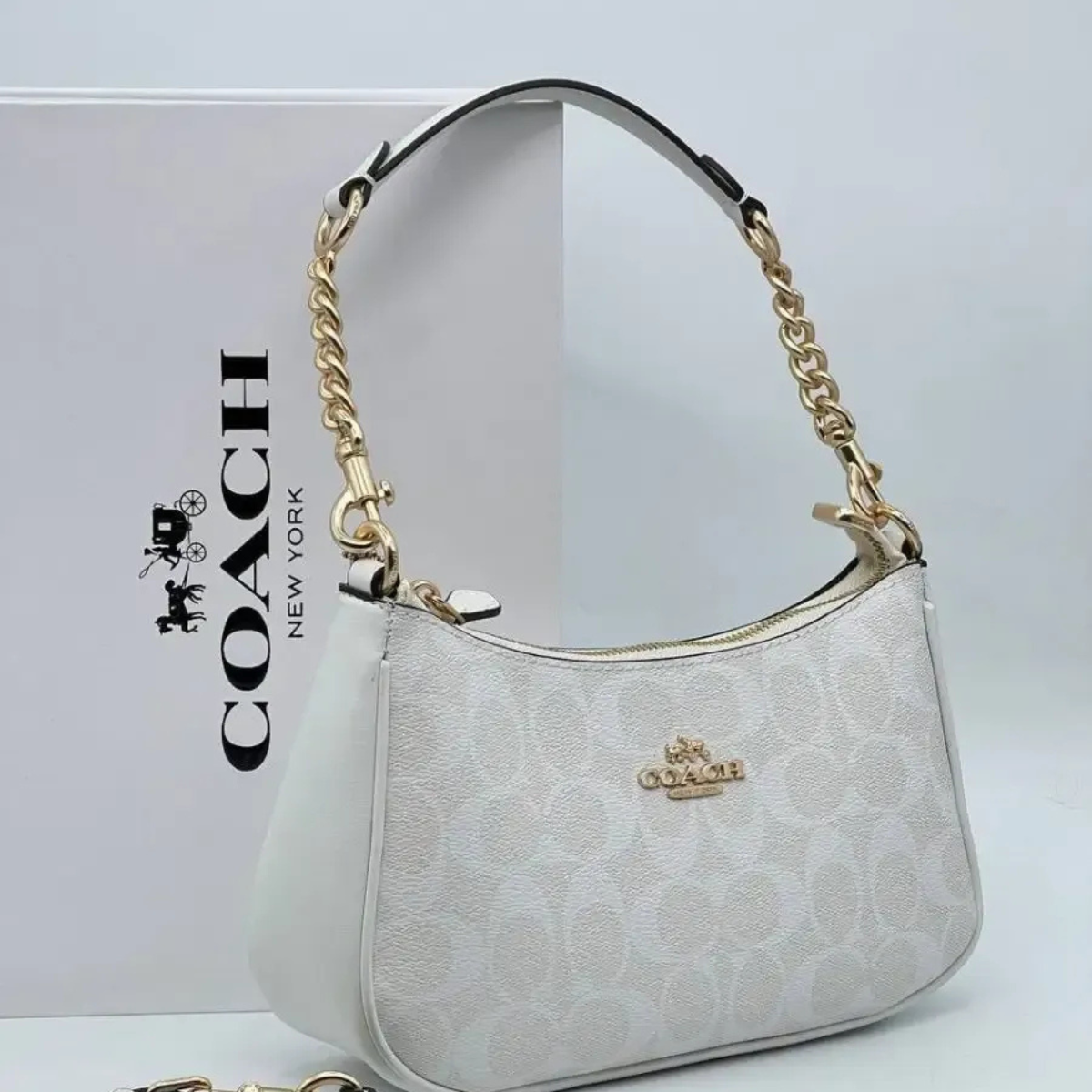 COACH TERI SIGNATURE CANVAS BAG